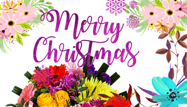 merry christmas and happy new year wishes in hindi