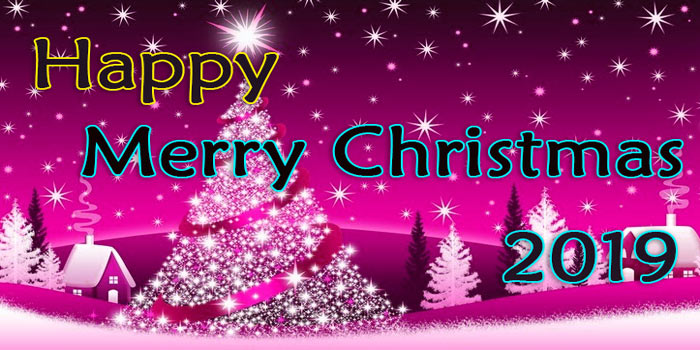 merry christmas in hindi