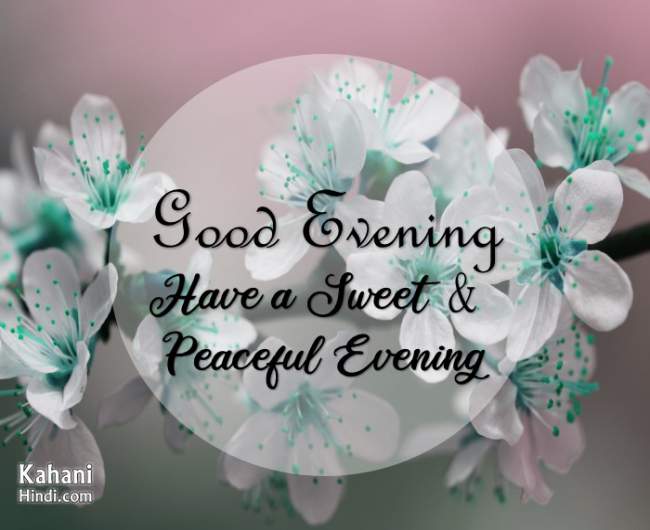 Good evening