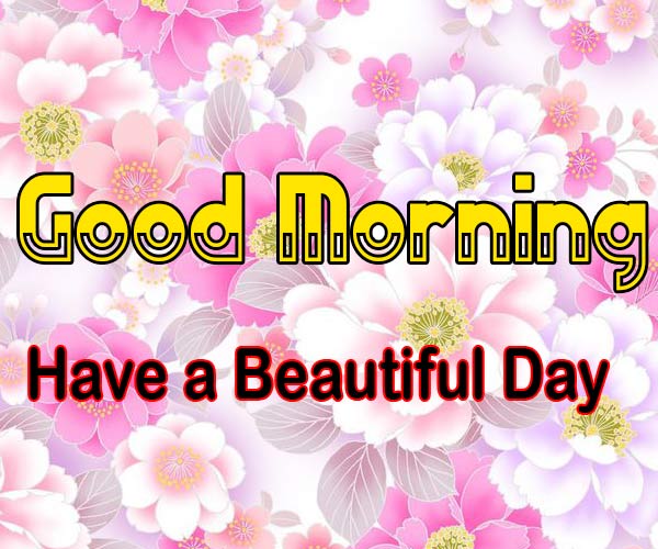 Good Morning flowers