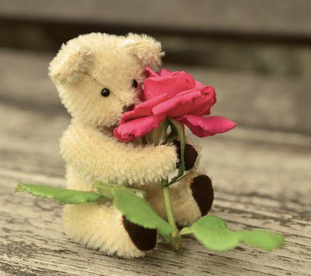 Whatsapp DP images