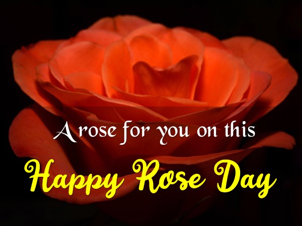 rose day images