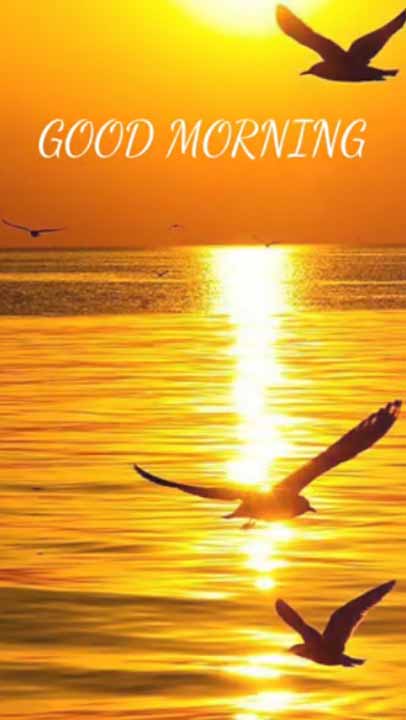LATEST] Good Morning Status Video - Morning Videos for Whatsapp