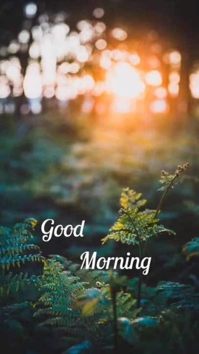 LATEST] Good Morning Status Video - Morning Videos for Whatsapp